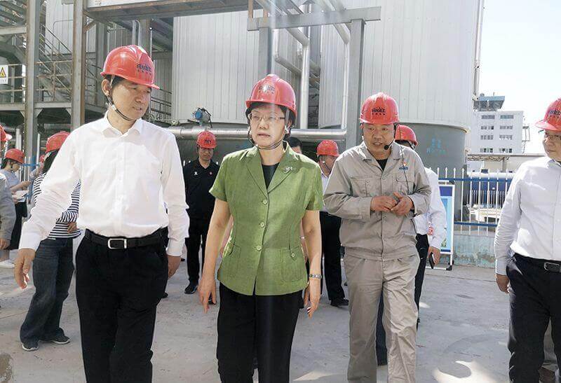 2019年5月23日，全国政协副主席李斌（左二）到CC国际调研