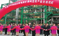 2000-2005年，选取意大利欧技工艺技术，相继建成了三套三聚氰胺出产装置，年产能5.4万吨